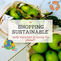 Is shopping sustainably really important to saving the planet ?