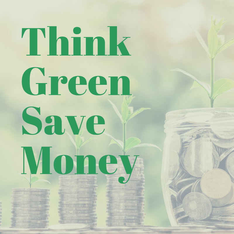 You can be an Eco warrior & save money!